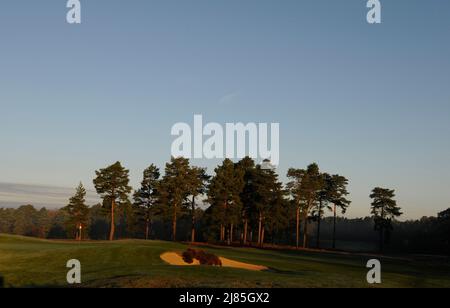 Vista dal lato del 18th Green sul campo Rosso con colori autunnali e 17th buche sullo sfondo, il Berkshire Golf Club, Ascot, Berkshire, Eng Foto Stock
