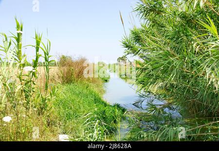 Acequia o fossa di irrigazione vicino alla recinzione dell'aeroporto in Delta del Llobregat, El Prat del Llobregat, Barcellona, Catalunya, Spagna, Europa Foto Stock