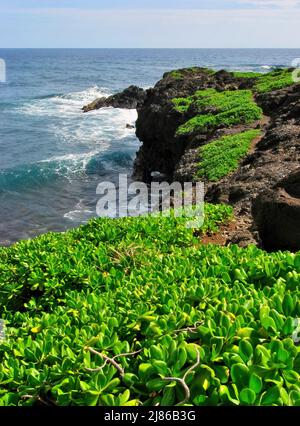 Vista della costa dell'Oceano di Hana Maui dal Kuloa Point Trail al Parco Nazionale di Haleakala Oheo Gulch Foto Stock