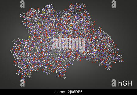 Ormone della crescita umano, hGH, molecola di somatotropina. È ormone peptidico naturale, agente drogante. 3D Illustrazione Foto Stock