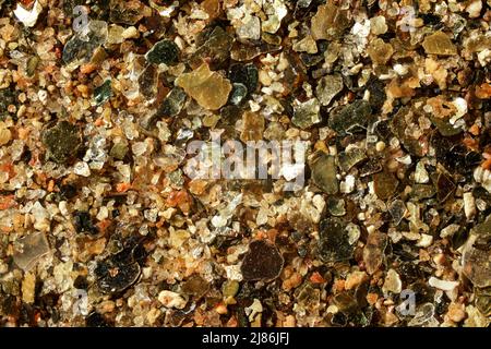 Sabbia di mare (spiaggia di Malindi, Kenya) con particelle dorate come poche conchiglie oceaniche rimane visibile. 4x foto al microscopio con ingrandimento, larghezza dell'immagine = 9mm Foto Stock