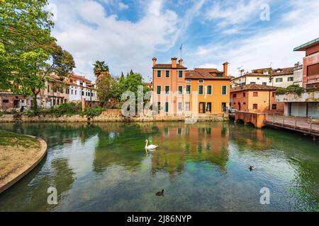 Paesaggio urbano del centro di Treviso con il fiume Sile e la strada chiamata Via Pescheria (via del mercato del pesce e isola). Veneto, Italia, Europa. Foto Stock