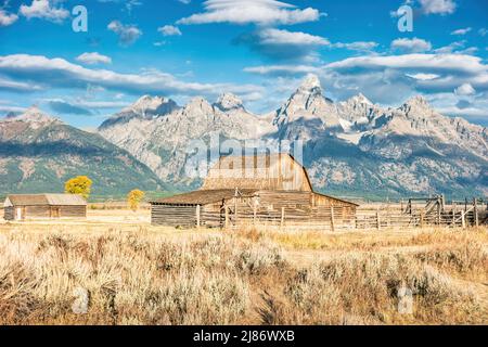 Barn a Mormon Row nel Grand Teton National Park, Wyoming, USA Foto Stock