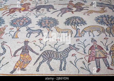 Pavimento in mosaico antico e conservato di raffigurazioni animali, Cappella del Battistero di Diakonikon, Basilica della Chiesa Bizantina, Monte Nebo, Giordania Foto Stock