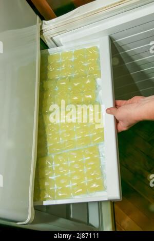 Le mani della donna impilano i sacchetti per i cubetti di ghiaccio con il succo di limone nel freezer. Il succo di limone appena spremuto viene congelato a porzioni per preparare la limonata. Foto Stock