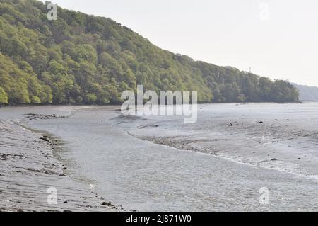 River Tavy sotto Lopwell, Devon, Inghilterra, Regno Unito. Foto Stock