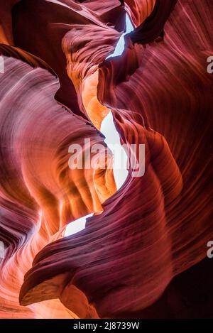 Guardando verso l'alto dal fondo del canyon antilope. Foto Stock