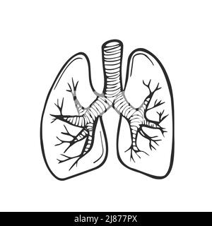 Disegno del doodle dei polmoni, sfondo medico. Eccellente illustrazione vettoriale, EPS 10. Disegno medico dei polmoni Illustrazione Vettoriale