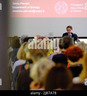 Modena, Italia. 13th maggio 2022. Modena, Telmo Pievani al Museo Civico dei 'primordiali'. Credit: Fadege/Alamy Live News Foto Stock