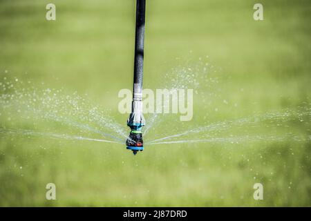 Primo piano di un irrigatore pivot di irrigazione che spruzza acqua su un raccolto. Idaho, Stati Uniti Foto Stock