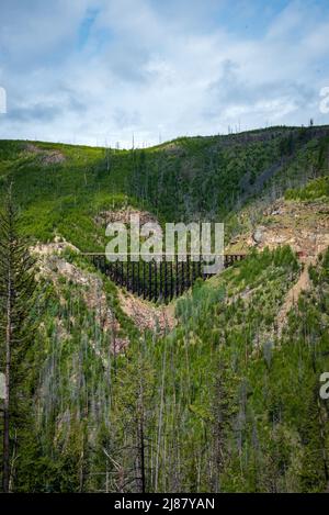 Myra Canyon si snoda lungo la pista ciclabile di Kelowna, British Columbia, Canada. Foto Stock