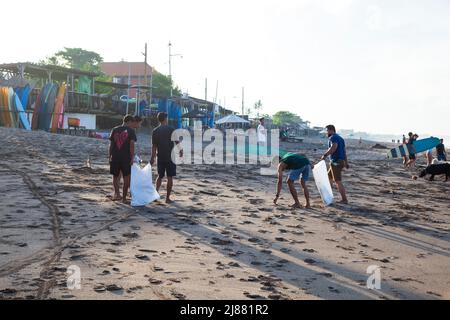 Un gruppo di persone locali alla spiaggia di Batu Bolong a Canggu, Bali, Indonesia, che raccoglie rifiuti e rifiuti sulla spiaggia e li mette in sacchi bianchi. Foto Stock