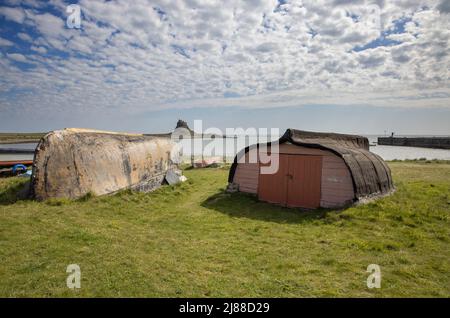 guardando verso il castello di lindisfarne dal porto dell'isola sacra lindisfarne northumberland Foto Stock