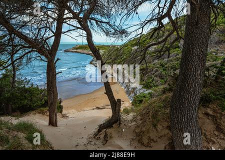 Vista dall'alto della baia sabbiosa di Spiaggia stretta nel promontorio del Gargano. Gargano, Puglia, Italia, Europa Foto Stock