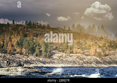 Scudo cristallino del Baltico, esker. Paesaggio glaciato (lacciamento glaciale). capo di pietra, pietra del sheepback con la betulla di autunno piccola, pini nani in Lad del nord Foto Stock