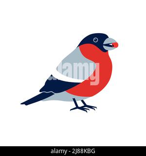 Carino bullfinch vettoriale con bacca di rowan nel suo becco. Elemento vettoriale per biglietto d'auguri o banner festivo di natale Illustrazione Vettoriale