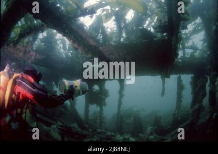 Il subacqueo all'interno delle navi a blocchi affondate, Orkney Isles, stava tentando di proteggere il flusso di Scapa durante la seconda guerra mondiale. Alcune sono molto panoramiche. Foto Stock