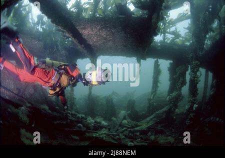 Il subacqueo all'interno delle navi a blocchi affondate, Orkney Isles, stava tentando di proteggere il flusso di Scapa durante la seconda guerra mondiale. Alcune sono molto panoramiche. Foto Stock