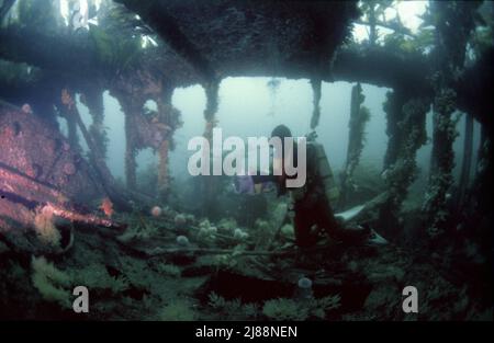 Il subacqueo all'interno delle navi a blocchi affondate, Orkney Isles, stava tentando di proteggere il flusso di Scapa durante la seconda guerra mondiale. Alcune sono molto panoramiche. Foto Stock