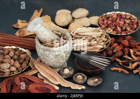 Trattamento di agopuntura cinese con aghi, erbe e spezie usato nei rimedi naturali tradizionali della medicina delle piante di erbe. Concetto di assistenza sanitaria basata su impianti Foto Stock