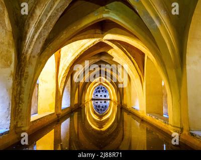 Banos de Maria de Padilla (bagni Maria de Padilla) - Real Alcazar - Siviglia, Spagna Foto Stock