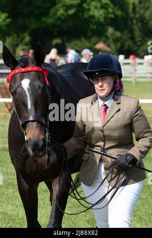 Windsor, Berkshire, Regno Unito. 14th maggio 2022. Gli ospiti e i concorrenti si sono goduti una giornata al sole caldo oggi al Royal Windsor Horse Show, situato nel parco privato del Castello di Windsor. Credit: Maureen McLean/Alamy Live News Foto Stock