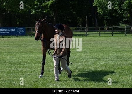 Windsor, Berkshire, Regno Unito. 14th maggio 2022. Gli ospiti e i concorrenti si sono goduti una giornata al sole caldo oggi al Royal Windsor Horse Show, situato nel parco privato del Castello di Windsor. Credit: Maureen McLean/Alamy Live News Foto Stock