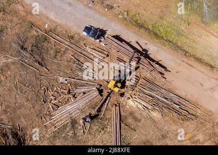 Tronchi di legno appena abbattuti che sono spostati da un camion grande di trasporto Foto Stock