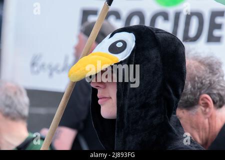 Amsterdam, Paesi Bassi. 14th maggio 2022. Manifestazione ribellione estinzione all'aeroporto di Schiphol Paesi Bassi 14-5-2022 Credit: Robert vant Hoenderdaal/Alamy Live News Foto Stock