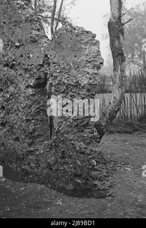 [Foto senza titolo, possibilmente relativa a: Costruzione del tabby. Rovine di presunta missione spagnola, St. Marys, Georgia]. Foto Stock