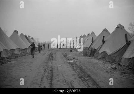 [Foto senza titolo, forse relativa a: La cucina nel campo per i rifugiati bianchi alluvioni a Forrest City, Arkansas]. Foto Stock