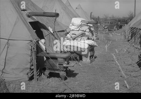 [Foto senza titolo, probabilmente legata a: Alluvione rifugiati accampamento a Forrest City, Arkansas]. Foto Stock