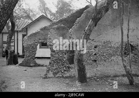 Rovine di presunta missione spagnola. Costruzione tabby. St. Marys, Georgia. Foto Stock