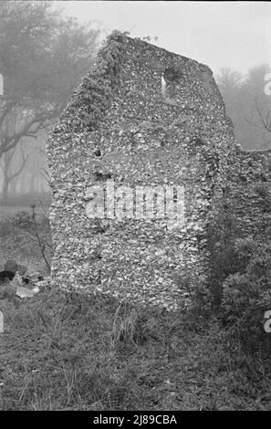 Costruzione tabby. Rovine di presunta missione spagnola, St. Marys, Georgia. Foto Stock