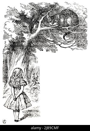 John Tenniel illustrazione del gatto Cheshire da Alice nel paese delle meraviglie di Lewis Carroll Foto Stock