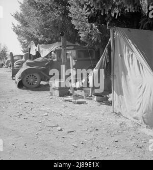 Oregon, Marion County, vicino a West Stayton. Un altro campo di famiglia migratorio durante il raccolto di fagioli. Foto Stock