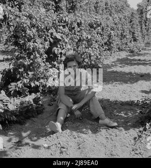 [Untitled, possibilmente collegato a: Indipendenza (vicinanza), Contea di Polk, Oregon. Moglie di un ex-logger, ora un operaio migratorio campo, che riposa all'ombra del luppolo vite a mezzogiorno.]. Foto Stock