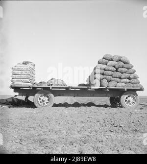 Kern County, California. Fornitura di fertilizzante e di semi di patata sul bordo del campo in cui opera la piantatrice meccanica di patata. Foto Stock