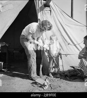 In un campo di carote pullers' vicino a Holtville, California. Foto Stock