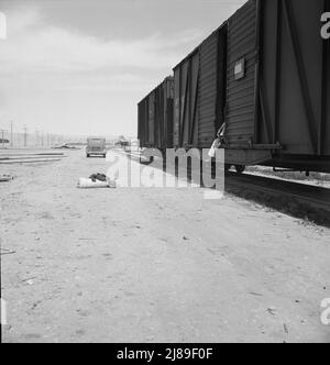 Auto a bordo di un'auto che attraversa i binari dello stabilimento di imballaggio dei piselli. Itinerante di venticinque anni, originario dell'Oregon. "Sulla strada otto anni, in tutto il paese, in ogni stato dell'Unione, avanti e indietro, prendere un lavoro qui e là, viaggiando tutto il tempo." Calipatria, Valle Imperiale. Foto Stock