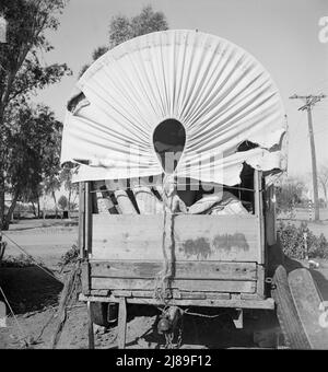 Vicino a Holtville, Imperial Valley. Ancora il carro coperto. Nel campo dell'estrattore di carota migratrice. [Nota trapunte fatte a mano]. Foto Stock