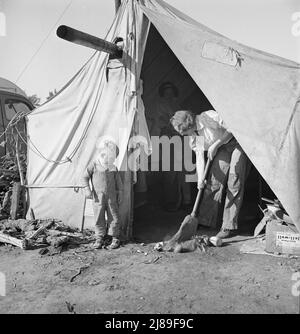 In un campo di carote pullers' vicino a Holtville, California. Foto Stock