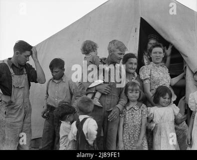 In Farm Security Administration (FSA) campo di lavoro migrante durante il raccolto di piselli. Famiglia dall'Oklahoma con undici figli. Padre, figlia maggiore e figlio maggiore che lavora. Lei: "Voglio tornare a dove possiamo vivere felici, vivere decenti e crescere quello che mangiamo." Lui: "Ho fatto il mio errore e ora non possiamo tornare. Non ho niente con cui coltivare." Brawley, Contea imperiale, California. Foto Stock