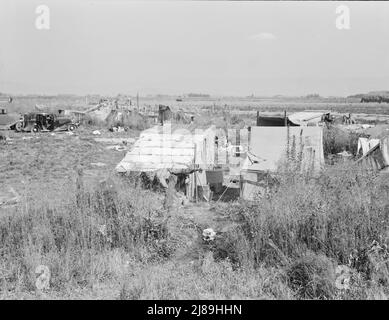 Campo dei raccoglitori di patate. Tulelake, contea di Siskiyou, California. [Copertura fatta da sacchi; segno: 'Tenda per la vendita - $10,00']. Foto Stock