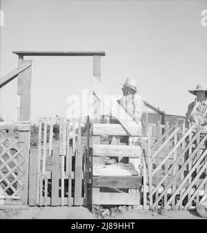 Highway City, California, vicino a Fresno. Famiglia da Oklahoma; sono stati in California per sei anni, sono stati lavoratori migratori ora su Works Progress Administration (WPA) da cui possono essere tagliati fuori all'apertura del raccolto 1939. La loro casa rappresenta una delle molte strutture simili, che stanno tentando di costruire con i propri sforzi su terreni poveri, per i quali stanno pagando alcuni dollari al mese sul bilancio WPA. La loro fattura leggera è due dollari un il mese. Bolletta acqua un dollaro al mese, kerosene per cucinare cinque dollari al mese, approssimativamente. Possiedono un 1929 Ford. "Th Foto Stock