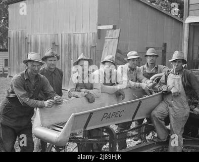 Sette degli otto agricoltori hanno mostrato con la loro taglierina per insilato di proprietà cooperativa nella fattoria Miller, dove stanno lavorando riempiendo il silo. West Carlton, Yamhill County, Oregon. Foto Stock