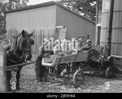 Sette degli otto agricoltori hanno mostrato con la loro taglierina per insilato di proprietà cooperativa nella fattoria Miller, dove stanno lavorando riempiendo il silo. Yamhill County, Oregon. Foto Stock