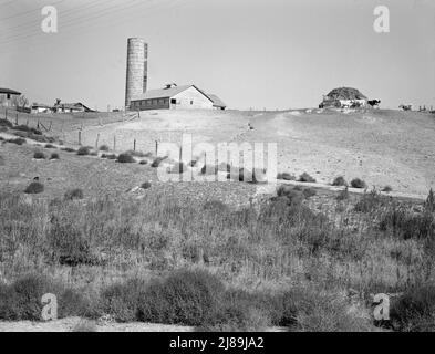 Azienda casearia dell'Idaho occidentale. Foto Stock