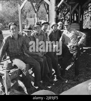 Uomini che lavorano nel mulino Ola self-help segheria co-op. GEM County, Idaho. Uomo nel centro posteriore in cappello nero è FSA (Farm Security Administration) supervisore della contea. Foto Stock