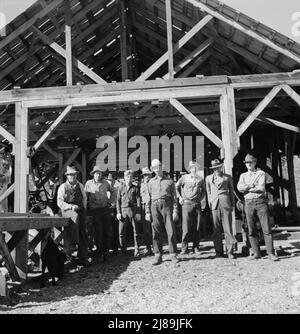 Uomini che lavorano nel mulino Ola self-help segheria co-op. GEM County, Idaho. Uomo nel centro posteriore in cappello nero è FSA (Farm Security Administration) supervisore della contea. Foto Stock